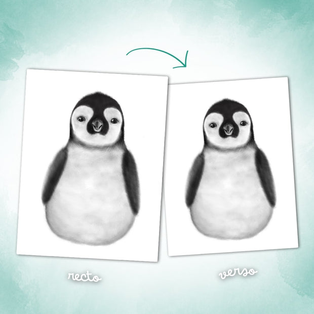 Affiche "Mes Petits Petons" à personnaliser (Modèle Pingouin)
